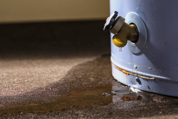 Best Flood restoration services  in Barrett, TX