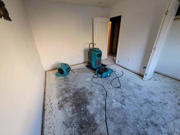 Best Water damage restoration near me  in Barrett, TX