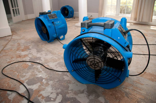 Best Water damage contractors near me  in Barrett, TX