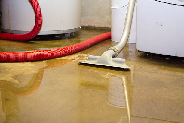 Best Flood damage cleanup  in Barrett, TX